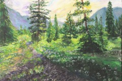 FOREST ROAD