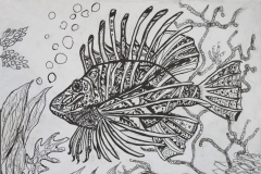 Lionfish
