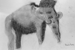 WOOLLY MAMMOTH