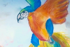 COLORFUL PARROT