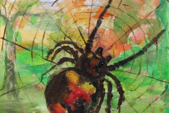 SPIDER