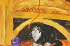 Roxy-the-cat
