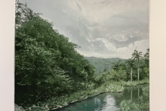 The-Rainforest