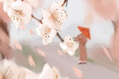 CHERRY BLOSSOMS