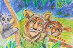 ANIMALS OF THE JUNGLE