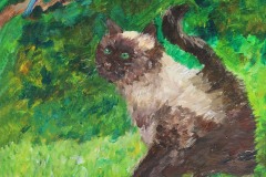 CAT AND BIRD