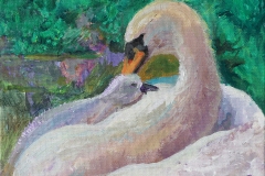 Peter-Gorbis-10-y.-o.Swans-Family.-Acrylic-on-canvas-11x14-in-copy