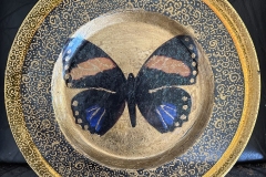 Sean-Ginko_10-years_Butterfly