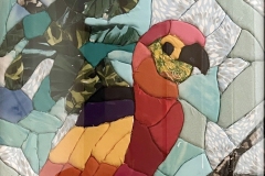 Sean_Ginko_10_year_Parrot