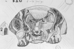 BIG DOG