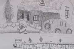 Simon-Hiley-11-y.o.-Natural-Nature.-Pencil-on-paper-11x14-in