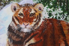 TIGER IN SNOW