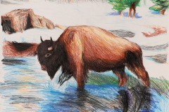 Vera Malyutina "Snowy Bison"