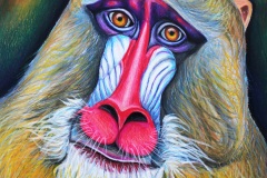 MANDRIL