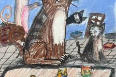 Cats